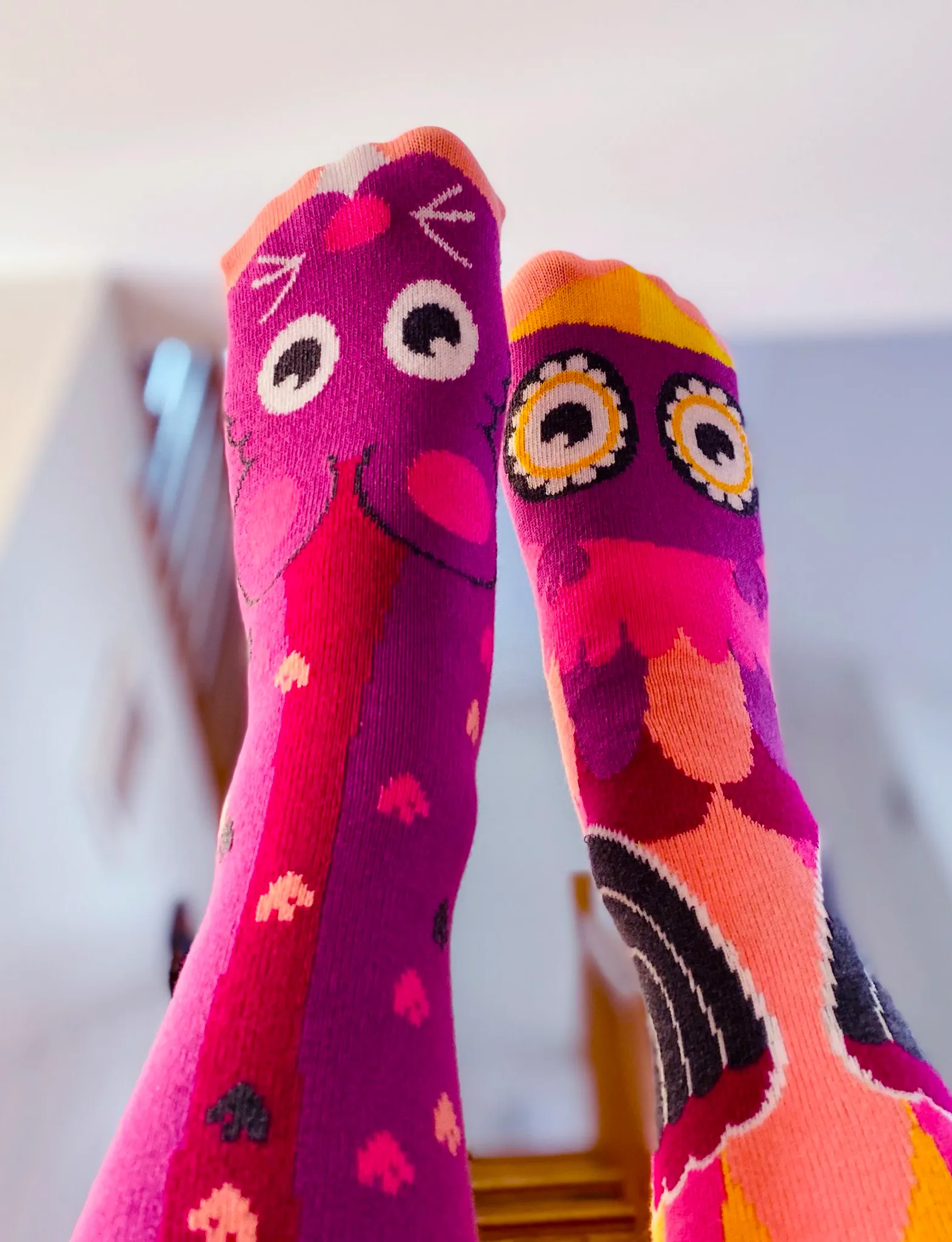 Owl and Mouse Mismatched Socks: A Whimsical Pair - Adult